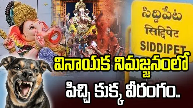 సిద్దిపేట జిల్లాలో పిచ్చి కుక్క వీరంగం.. 
